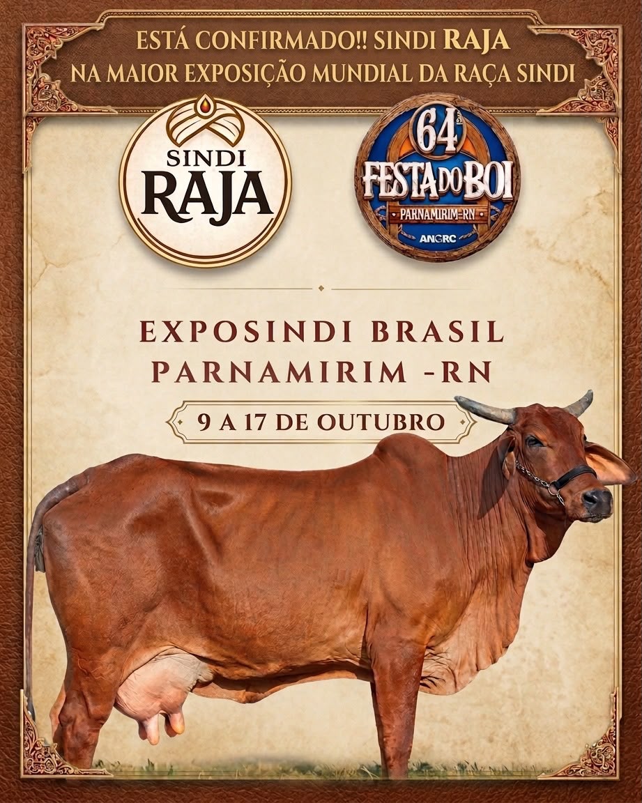 Sindi Raja na Exposindi